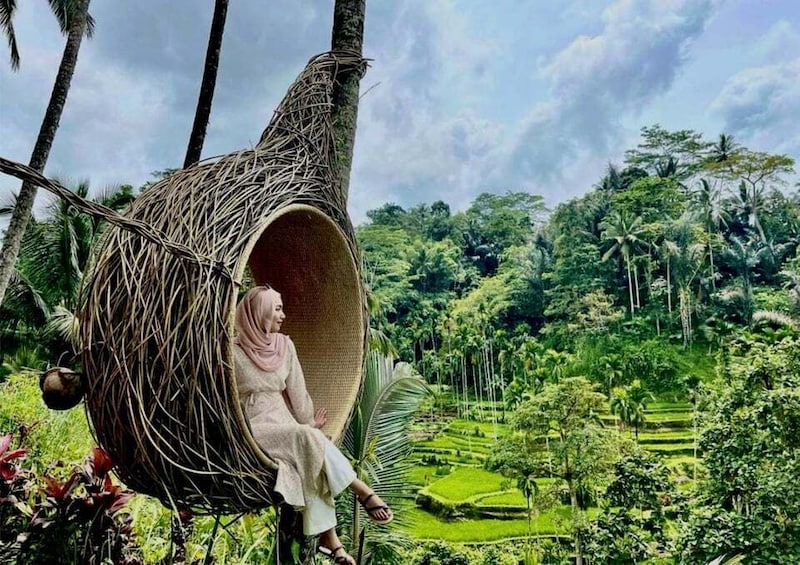 Picture 4 for Activity Ubud: Monkey Forest, Rice Terraces, and Swing Day Tour 3