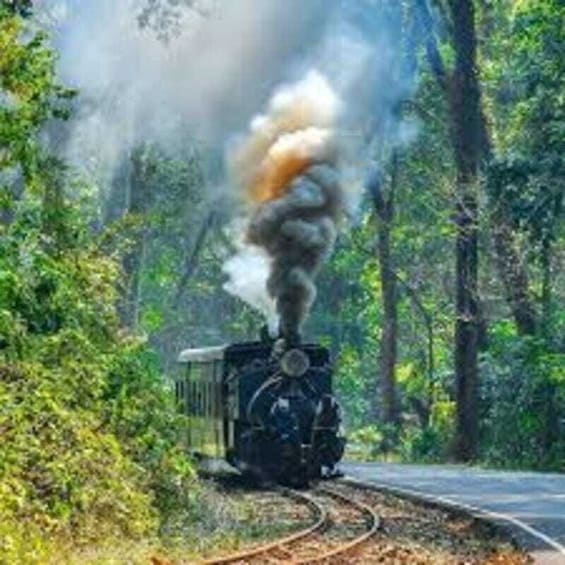 A steam locomotive emitting smoke, traveling on a railway track through a forested area. 3