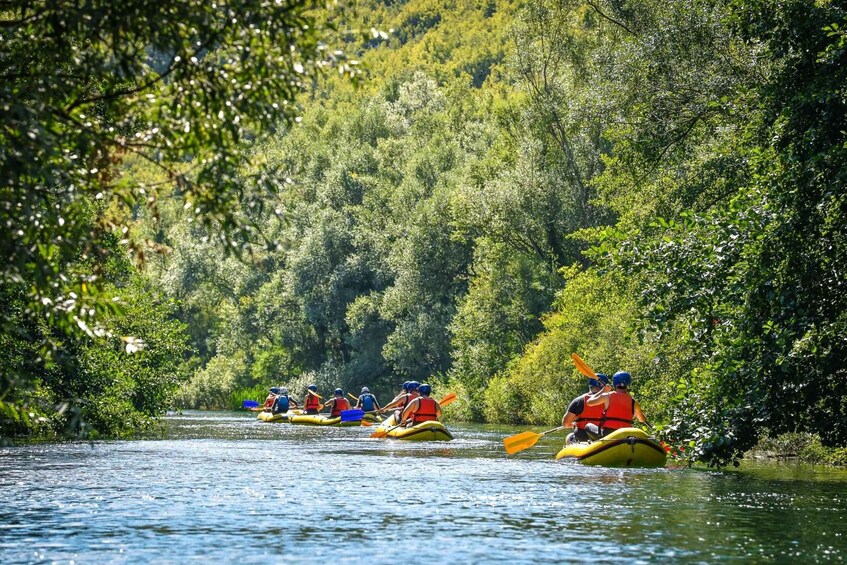 A group of people kayaking on a river surrounded by dense greenery. 2