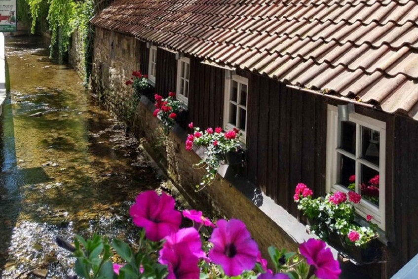 A wooden building with a tiled roof, a narrow waterway, and vibrant pink flowers. 3