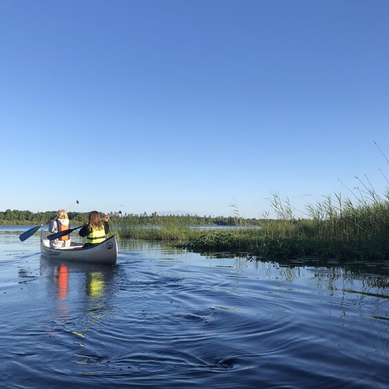 Two people canoeing on a calm river with reeds and trees in the background. 5