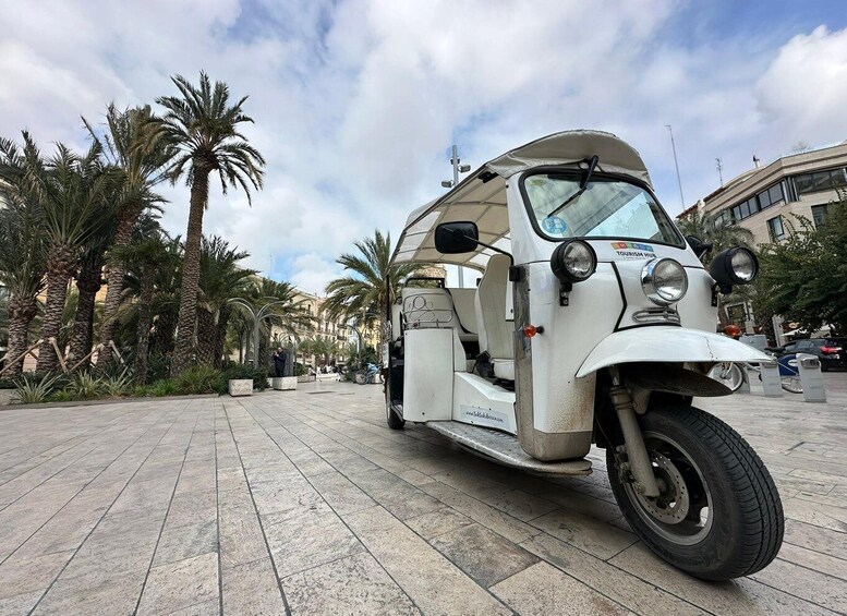 A white tour bus parked on a paved area with palm trees and buildings in the background. 1