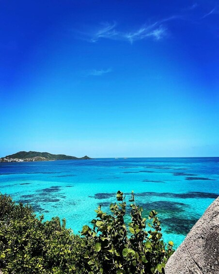 A clear blue sea, green foliage, and a distant island. 2