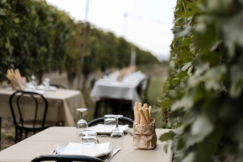 A vineyard with rows of grapevines, tables set for dining with wine glasses and bread baskets. 5