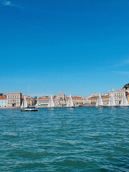 Picture 9 for Activity Relaxing boat cruise on the Tagus river with wine 2