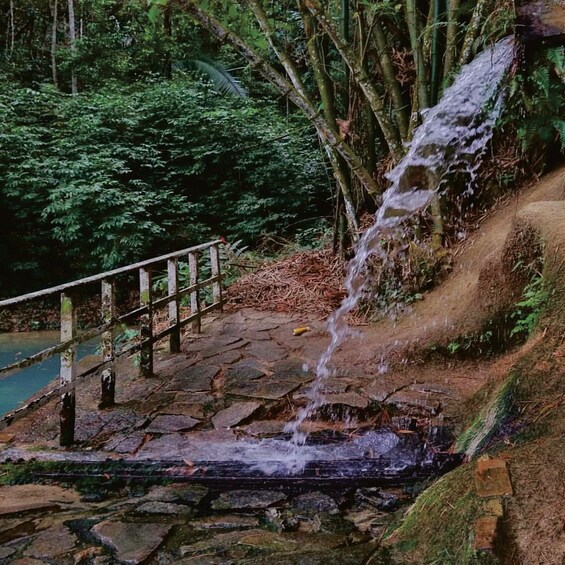 A waterfall cascading over rocks into a pond, surrounded by dense forest. 1