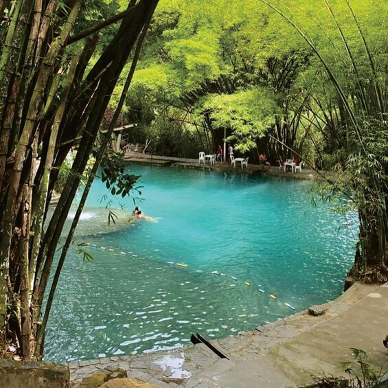 A clear blue pool surrounded by bamboo and trees, with people swimming and sitting on the edge. 4