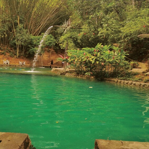 A clear turquoise pool with a waterfall, surrounded by lush greenery and bamboo. 5