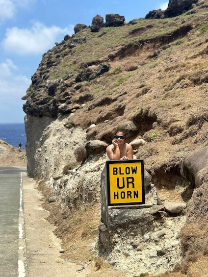 A person leaning on a roadside sign that reads 'BLOW UR HORN' with a coastal landscape in the background. 5