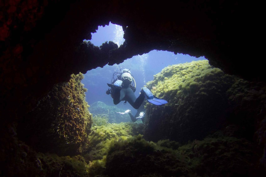 A diver exploring a coral reef through a cave opening. 1