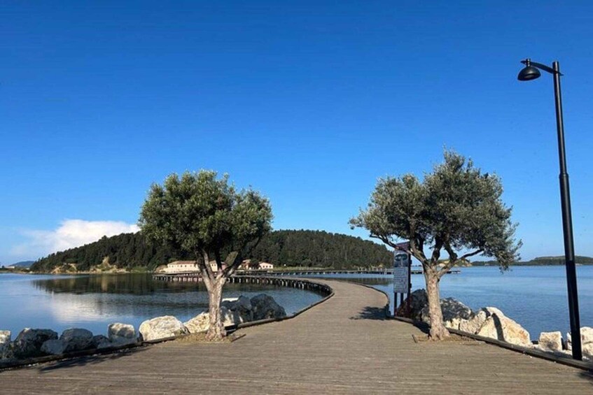 A wooden boardwalk leading to a body of water, flanked by trees and a distant island. 5