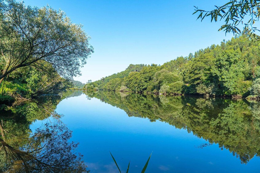 A calm river reflecting dense forest and clear blue sky. 3