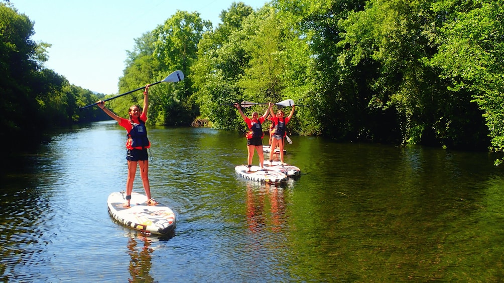 Two people paddleboarding on a river surrounded by lush greenery. 5