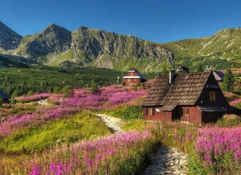 A rural landscape with a wooden house, a path, and purple flowering plants. 5