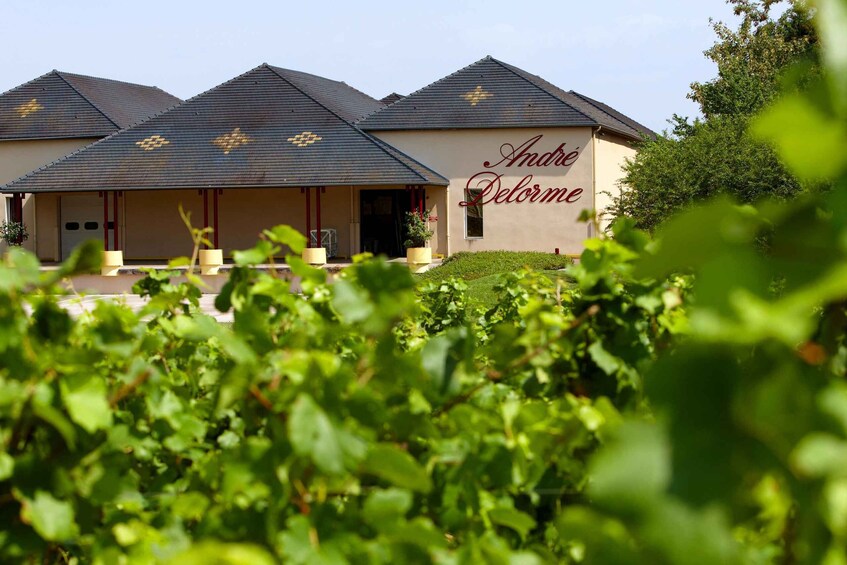 A building with the name 'André Delorme' on its facade, surrounded by greenery. 3
