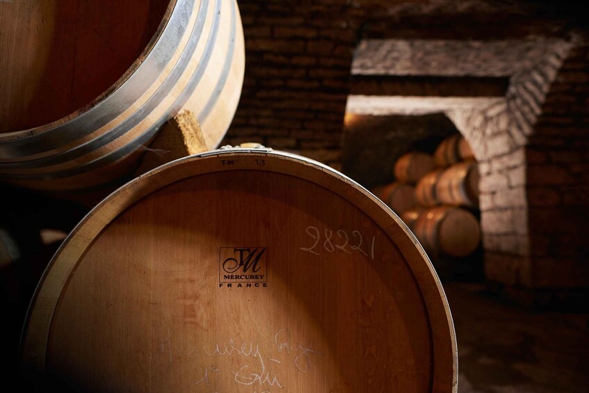 Wooden barrels with 'Mercurey France' and '28221' markings, a brick fireplace, and a rustic cellar environment. 1