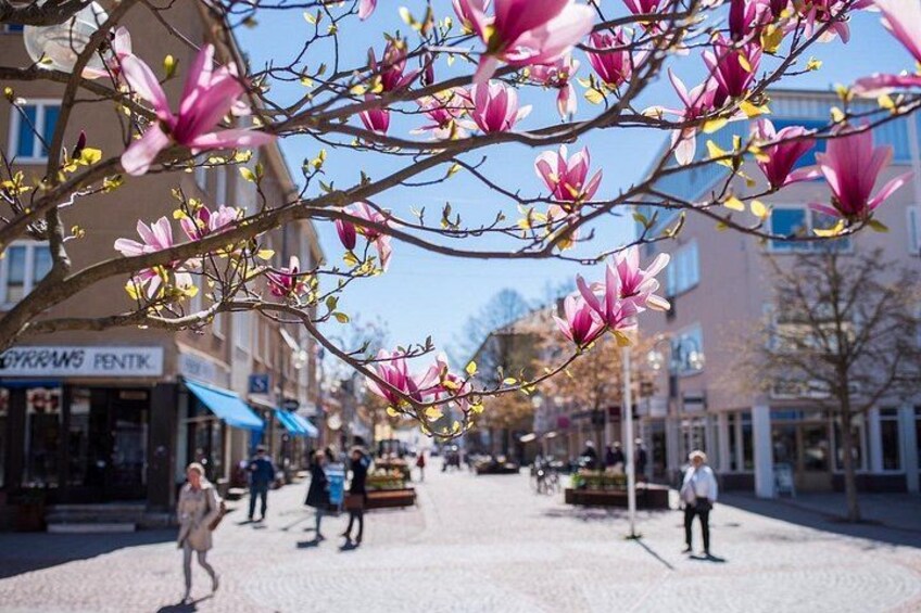 Een straat met roze bloeiende bomen, voetgangers en gebouwen. 5