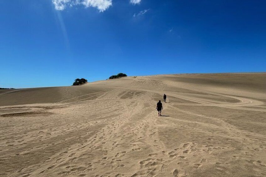 Weite Wüstenlandschaft mit wellenartigen Sanddünen und blauem Himmel. 1