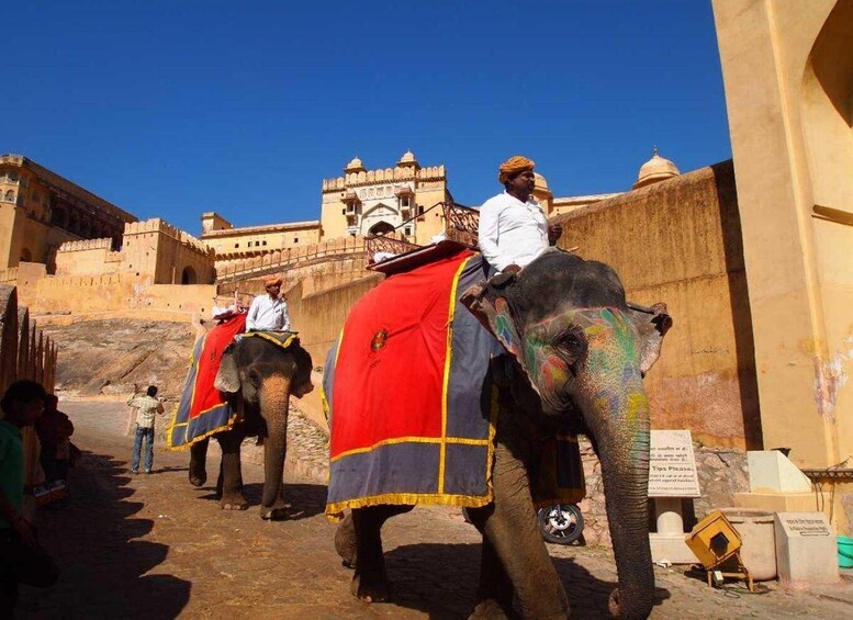 Elephants with riders, a fort, and a clear blue sky. 4