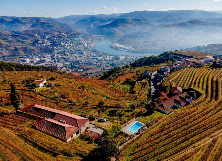 Picture 28 for Activity Visit to Quinta Sobre a Fonte with wine tasting and picnic - pet friendly 4