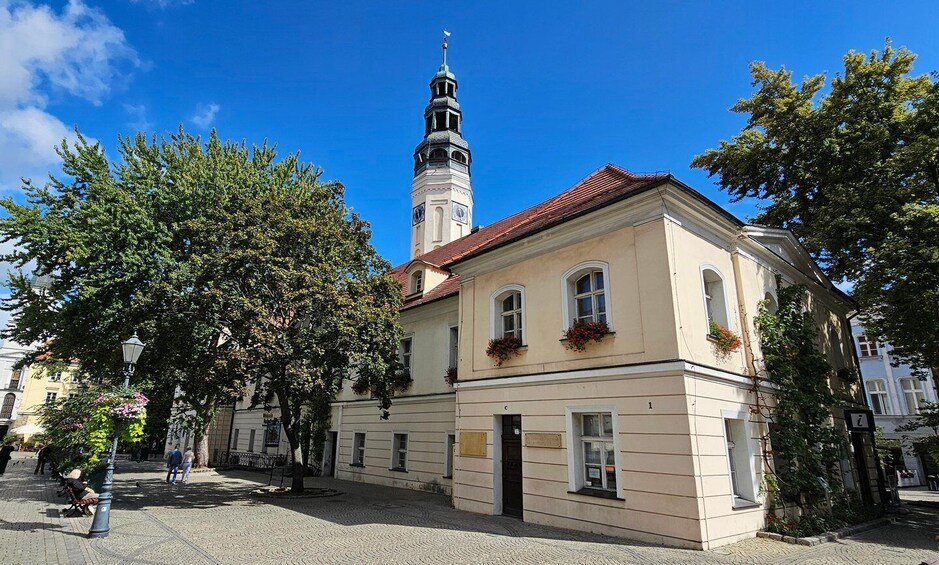 A historic building with a clock tower, a cobblestone street, and trees. 5