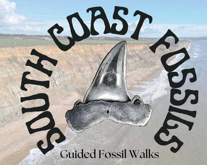A shark tooth with the text 'South Coast Fossils' and 'Guided Fossil Walks' against a coastal landscape. 5