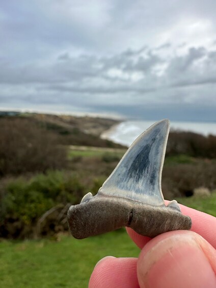 A person holding a shark tooth against a backdrop of a cloudy sky and a coastal landscape. 1