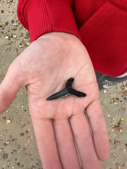 A hand holding a small black object with a triangular shape. 3