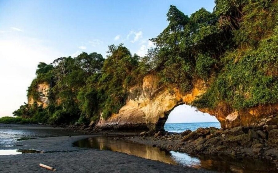 A natural rock arch formation with surrounding greenery and a calm body of water. 4