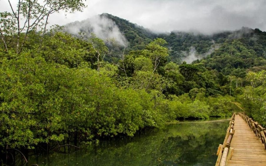 A wooden bridge over a calm river, surrounded by dense green foliage and mist-covered mountains. 2