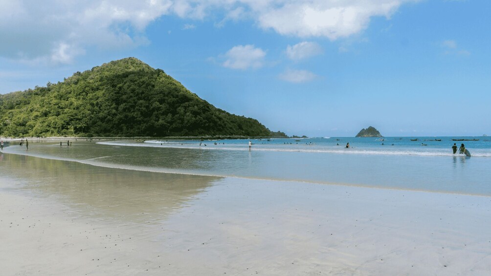 A beach with people swimming and walking, a sandy shore, and a hill with dense vegetation. 2