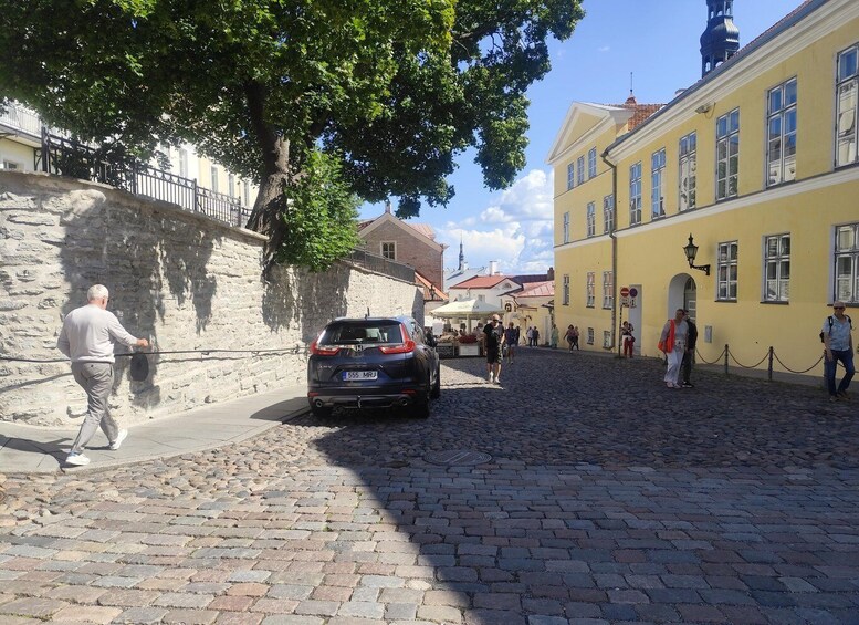 Picture 10 for Activity From Carnivals to Epidemics - Medieval Tallinn 2