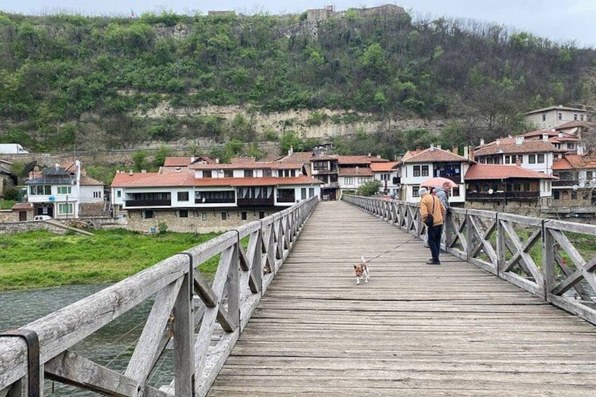 A wooden bridge over a river with houses on the opposite bank. 5