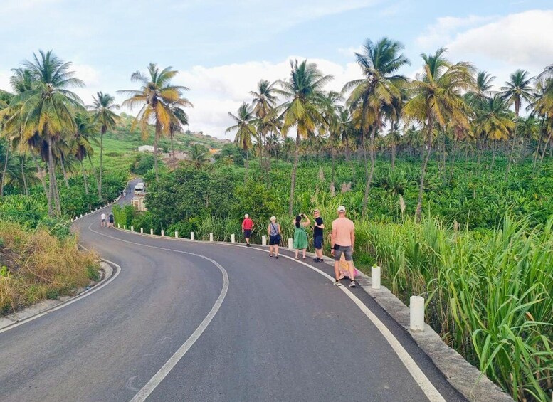 Picture 13 for Activity Santiago: Serra Malagueta Natural Park & Gongon Hike with Picnic 3