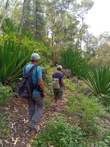 Picture 8 for Activity Santiago: Serra Malagueta Natural Park & Gongon Hike with Picnic 3