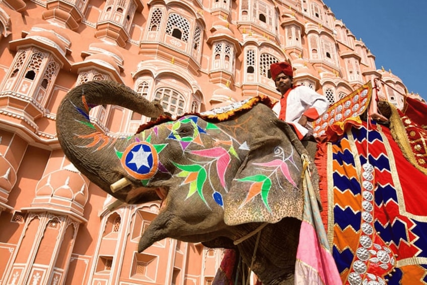 An elephant with colorful decorations and a man riding it in front of a pink palace. 1