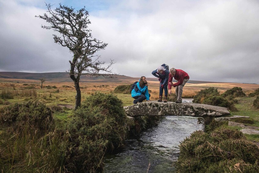 Dartmoor National Park: Private Tailored Half-Day Walk 1