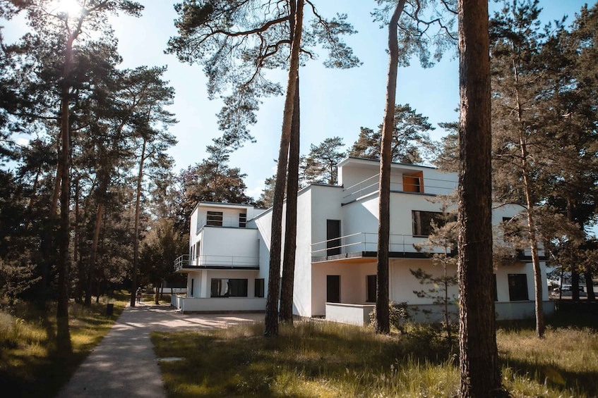 A modern white house surrounded by tall pine trees. 1