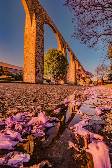 A stone bridge with arches, a tree, and pink flowers on the ground. 5