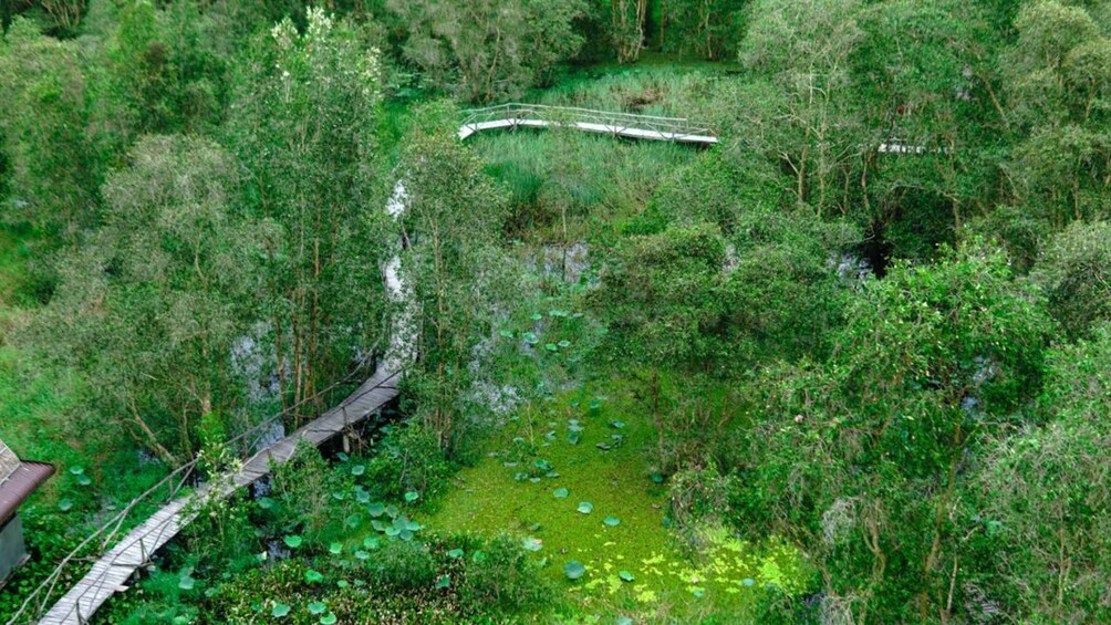 A wooden bridge over a pond surrounded by dense greenery. 5