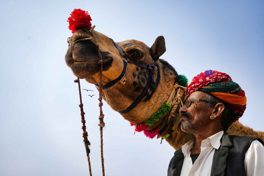 Picture 2 for Activity From Delhi: 4-Day Golden Triangle Tour –Delhi, Agra & Jaipur 5