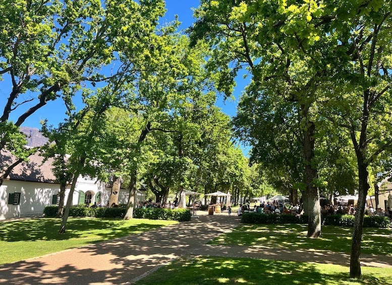 A tree-lined pathway with people walking and sitting in the shade, surrounded by greenery and buildings. 3