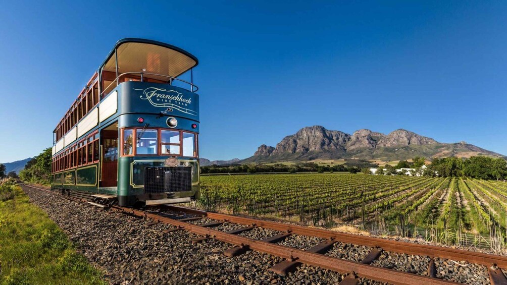 A vintage train on tracks with vineyards and mountains in the background. 1