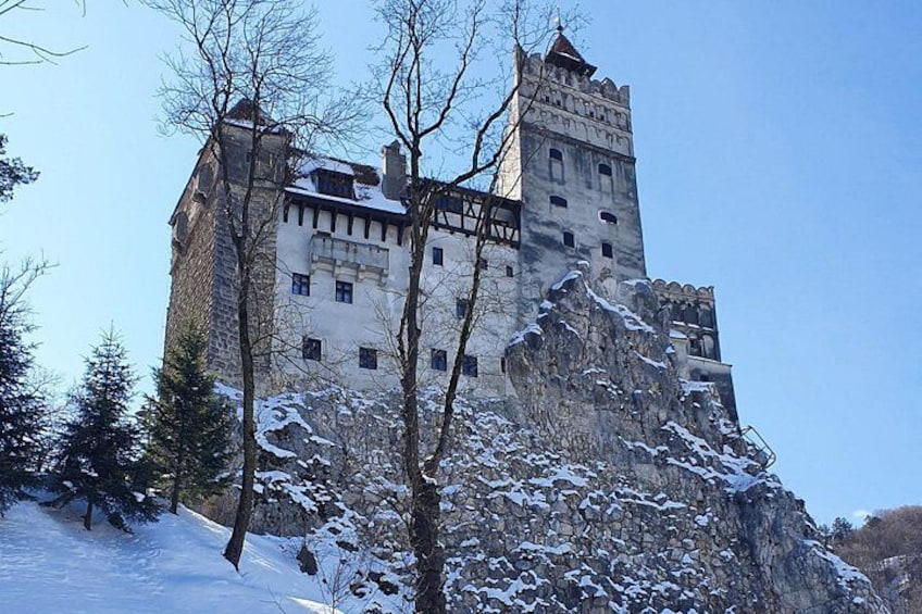 Un castillo sobre una colina nevada con árboles desprovistos de hojas. 3
