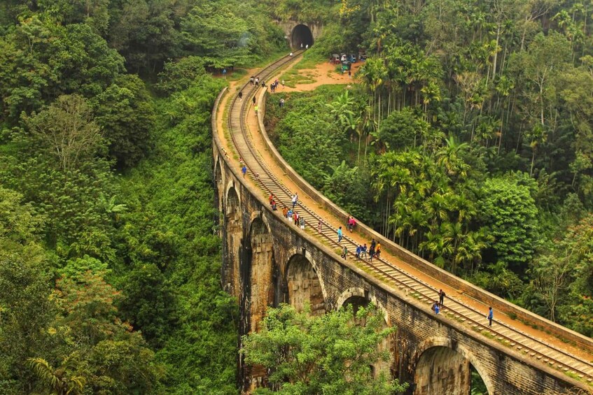 A railway bridge in a lush forest, with people walking on it. 5