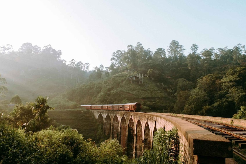 A train on a bridge with arches, surrounded by lush greenery and hills. 1