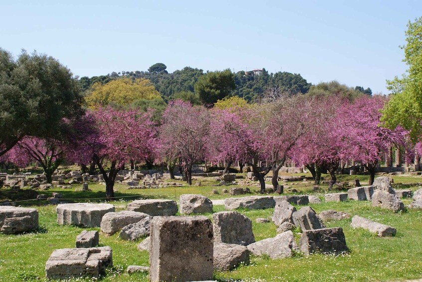 Ancient ruins with stone blocks and blooming pink trees in a grassy field. 4