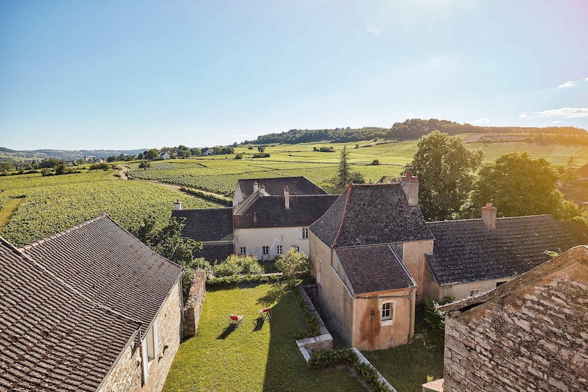 A rural landscape with vineyards, stone buildings, and a clear sky. 3