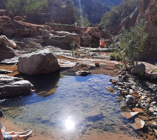 A clear water stream surrounded by rocks and vegetation in a canyon. 1