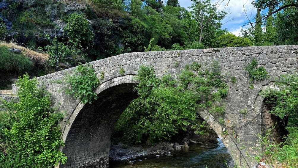 A stone bridge over a stream with lush greenery and rocky cliffs in the background. 4